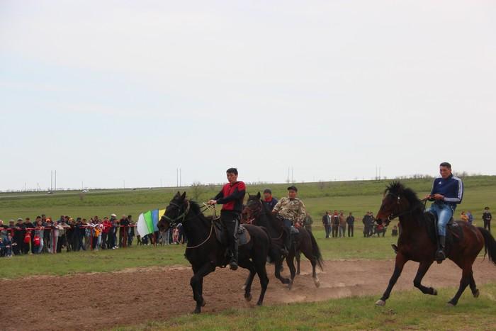 1 мая в поселке Ергенинский Кетченеровского района прошли конноспортивные игры, посвященные 25-летию со дня основания монастыря «Геден Шеддуб Чой Корлинг» и Международному году благодарности Его Святейшеству Далай-ламе XIV.