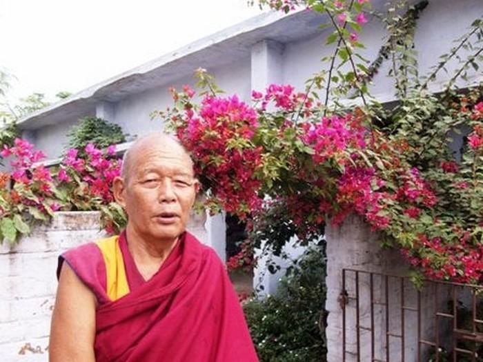 Сегодня в Индии на 86 году жизни после продолжительной болезни ушел один из старейших монахов монастыря Дрепунг Гоманг геше Тубтен Ньима