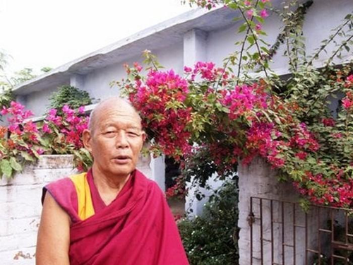 Сегодня в Индии на 86 году жизни после продолжительной болезни ушел один из старейших монахов монастыря Дрепунг Гоманг геше Тубтен Ньима