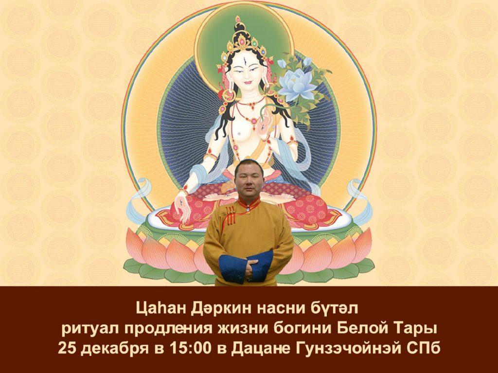 В Санкт-Петербурге пройдет ритуал «Цаһан Дәркин насни бүтәл»