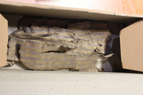 Находка в Ростовской области