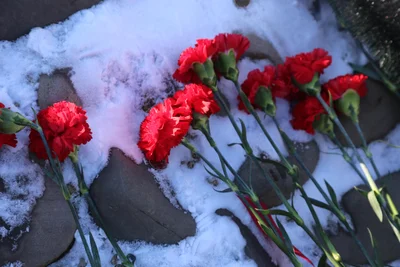 День памяти и скорби в Калмыкии. 82-я годовщина депортации калмыцкого народа в Сибирь